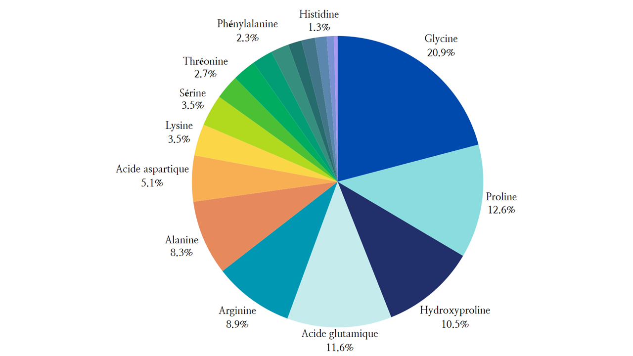 Composition en acides aminés du collagène Naticol® 
